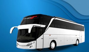 sewa bus-shd-jogja